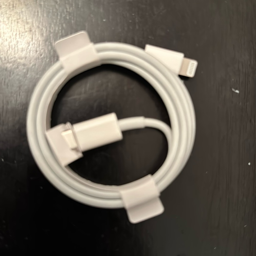 Official apple c-port charger